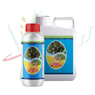 بردو SC 18% (آرمافیکس)